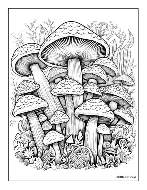 Trippy Mushroom Coloring Page 02