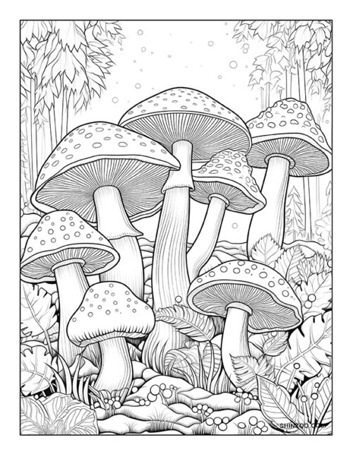 Trippy Mushroom Coloring Page 04