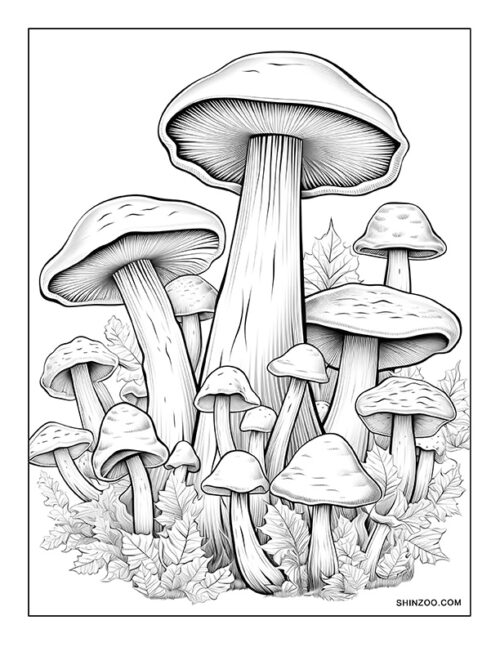 Trippy Mushroom Coloring Page 08
