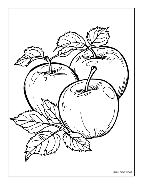 Apples Coloring Page 04