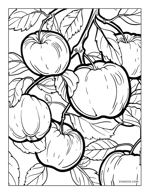 Apples Coloring Page 05