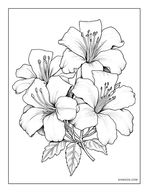 Azalea Blooms Coloring Page 03
