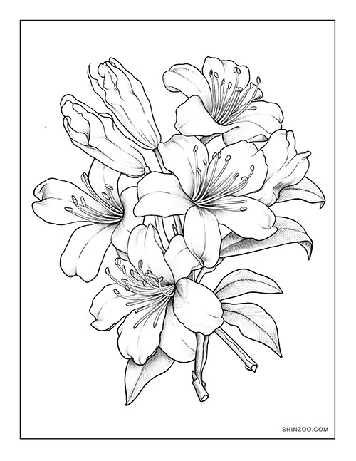 Azalea Blooms Coloring Page 04