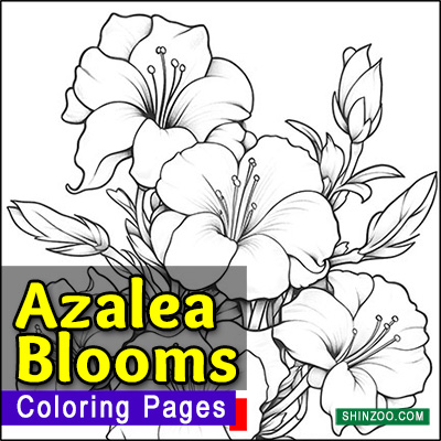 Azalea Blooms Coloring Pages Printable