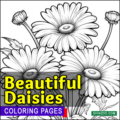 Beautiful Daisies Coloring Pages Printable