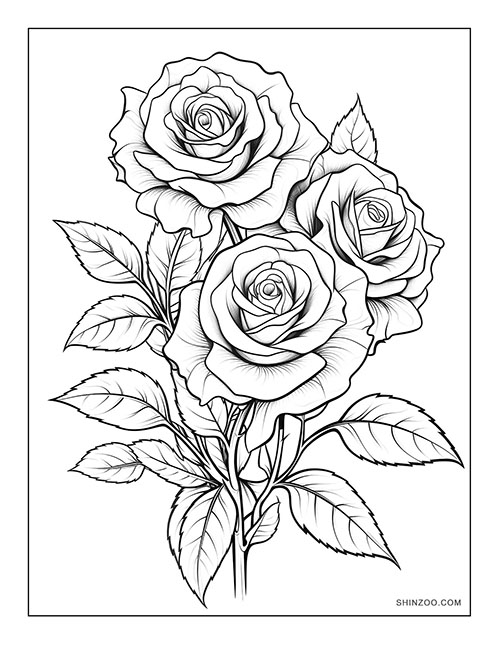 Beautiful Roses Coloring Page 03