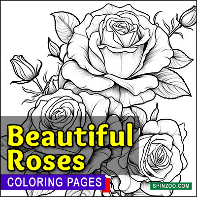 Beautiful Roses Coloring Pages Printable