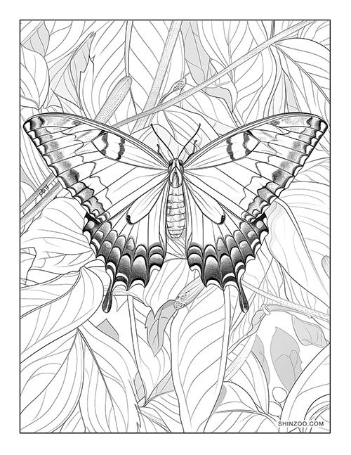 Butterflies Coloring Page 01