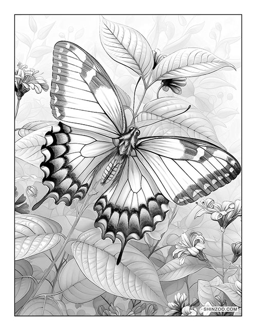 Butterflies Coloring Page 06