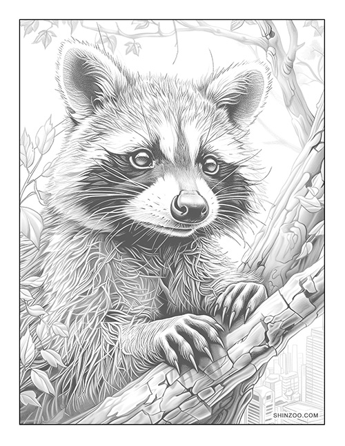 Raccoon in the City Coloring Page 02