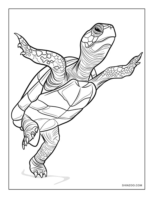 Dancing Turtle Coloring Page 02