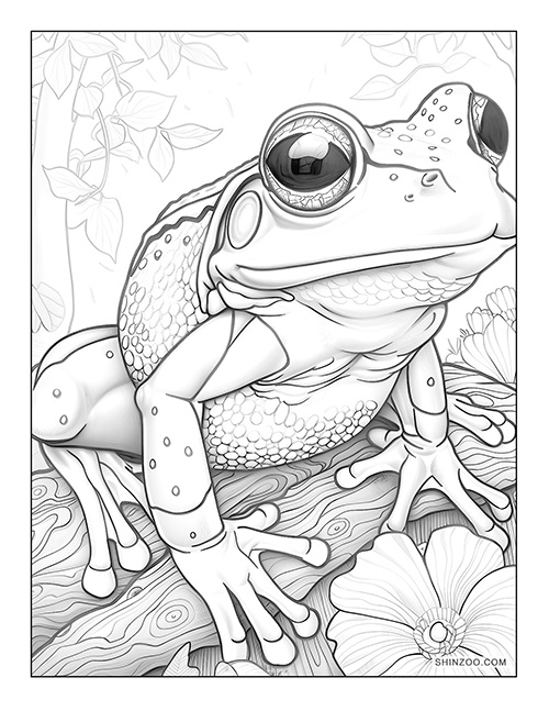 Frog Coloring Page 01