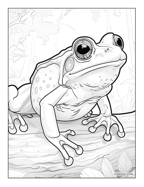 Frog Coloring Page 03