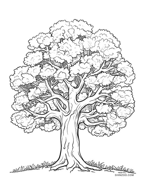 Grand Oak Tree Coloring Page 02