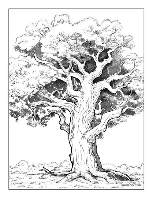 Grand Oak Tree Coloring Page 03