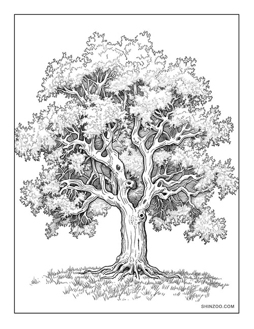 Grand Oak Tree Coloring Page 04
