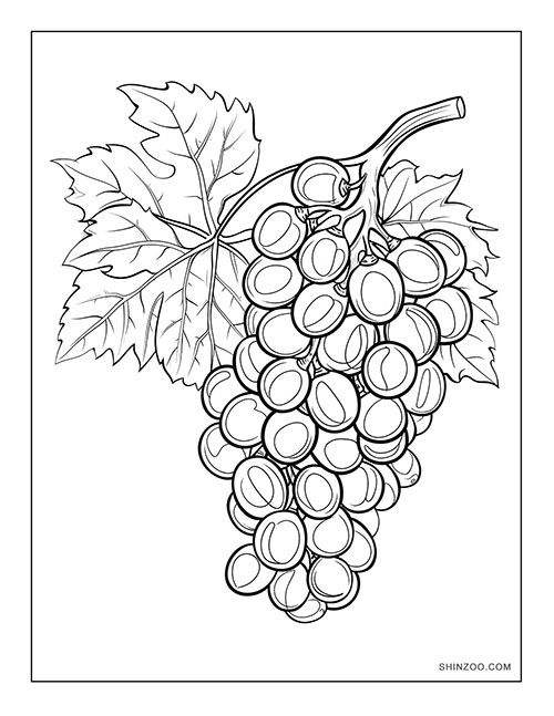 Grapes Coloring Page 01