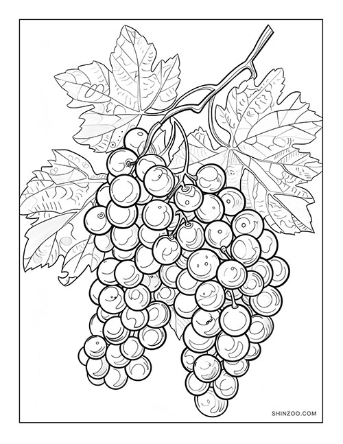 Grapes Coloring Page 02