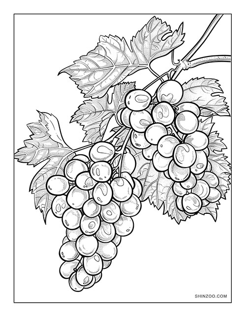 Grapes Coloring Page 03