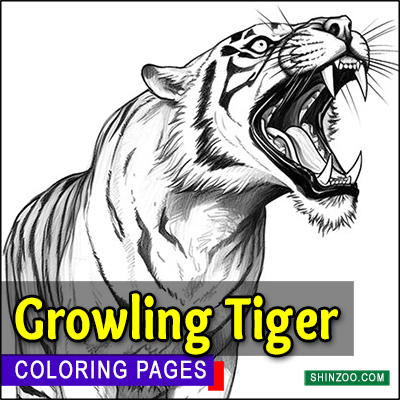 Growling Tiger Coloring Pages Printable
