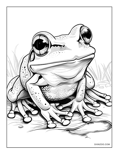 Happy Frog Coloring Page 03