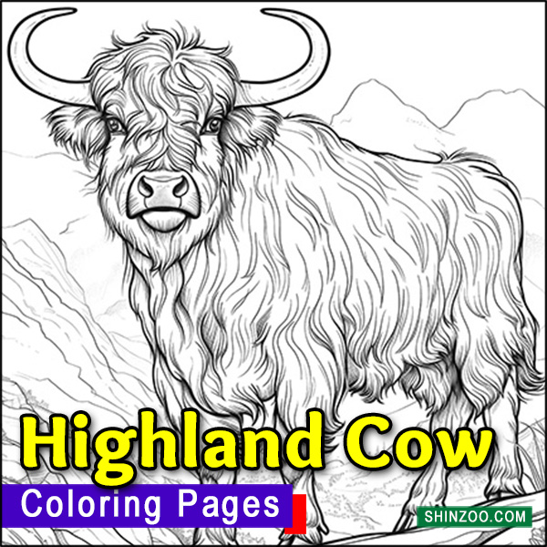 Highland Cow Coloring Pages Printable