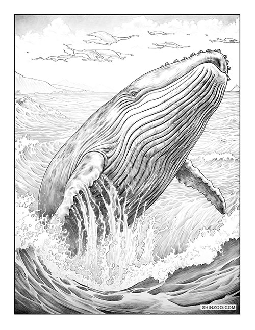 Humpback Whale Coloring Page 01