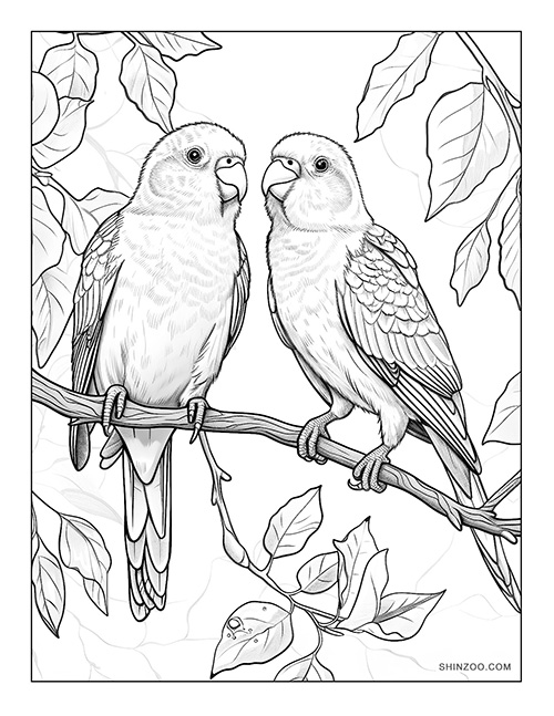 Love Birds Coloring Page 01