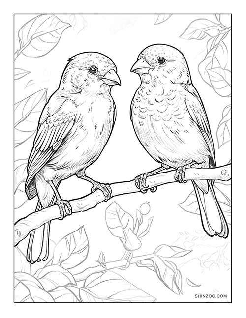Love Birds Coloring Page 02