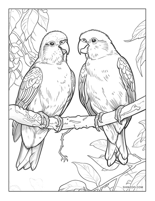 Love Birds Coloring Page 03