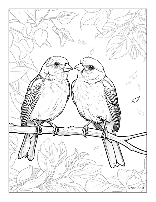 Love Birds Coloring Page 04