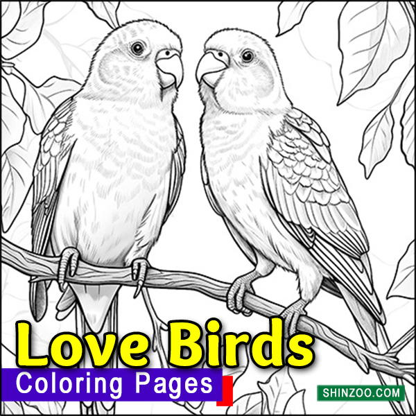 Love Birds Coloring Pages Printable