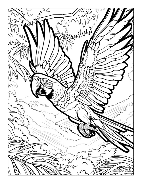 Macaw Parrot Coloring Page 01