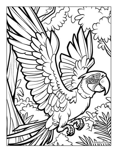 Macaw Parrot Coloring Page 02