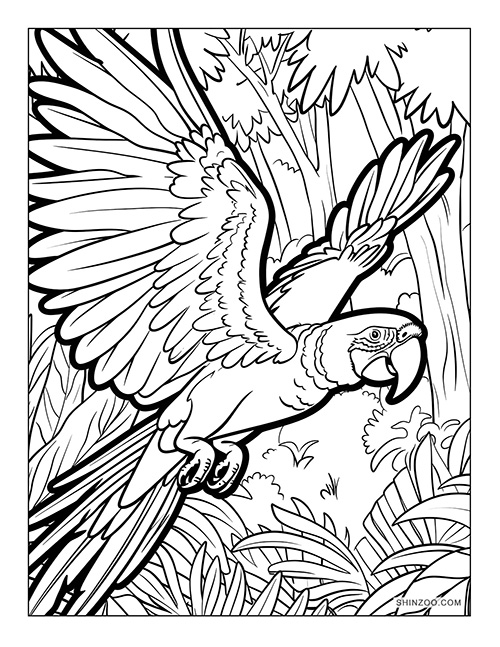 Macaw Parrot Coloring Page 03