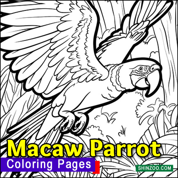 Macaw Parrots Coloring Pages Printable