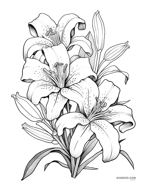 Majestic Lilies Coloring Page 02