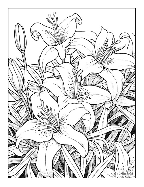 Majestic Lilies Coloring Page 03