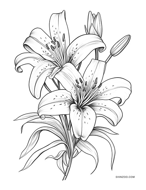 Majestic Lilies Coloring Page 04