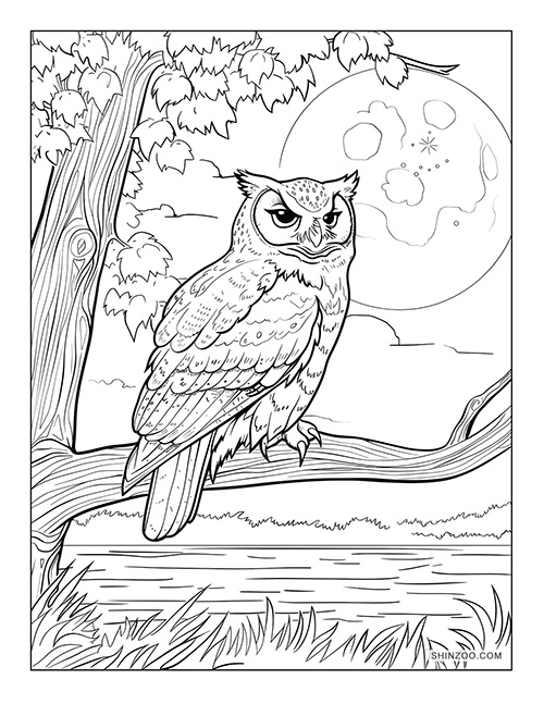 Night Owl Coloring Page 01