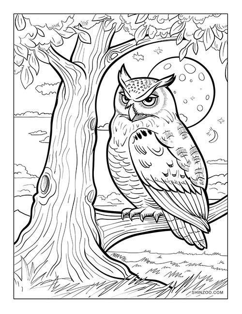 Night Owl Coloring Page 02