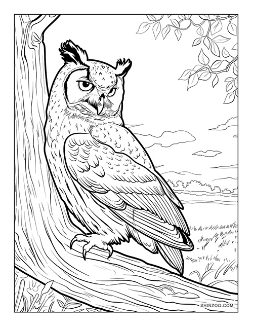 Night Owl Coloring Page 03