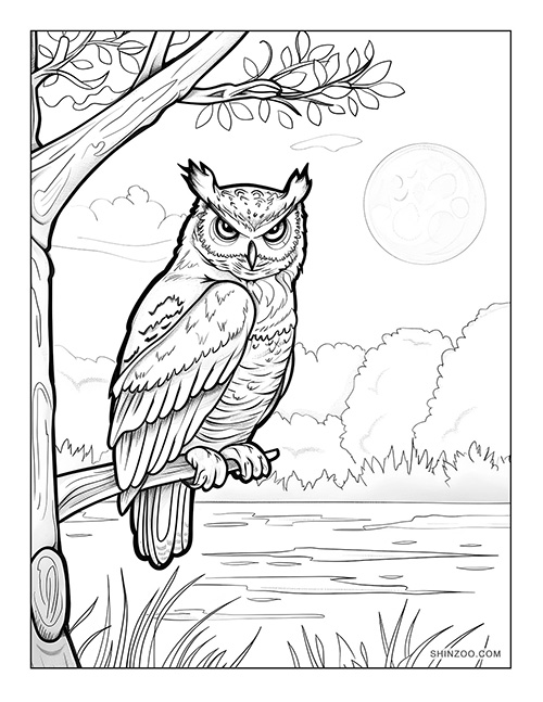 Night Owl Coloring Page 04