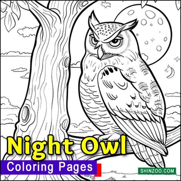 Night Owl Coloring Pages Printable