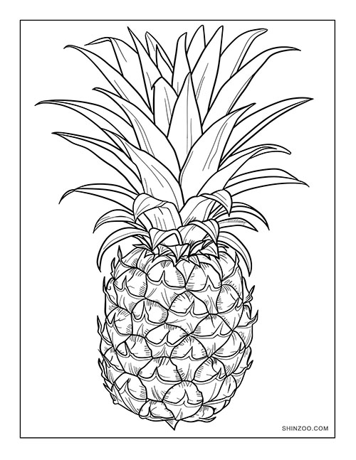 Pineapples Coloring Page 03