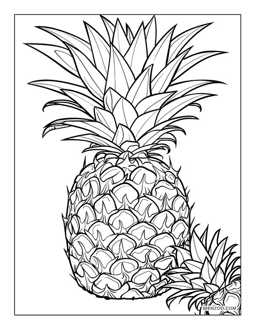 Pineapples Coloring Page 04