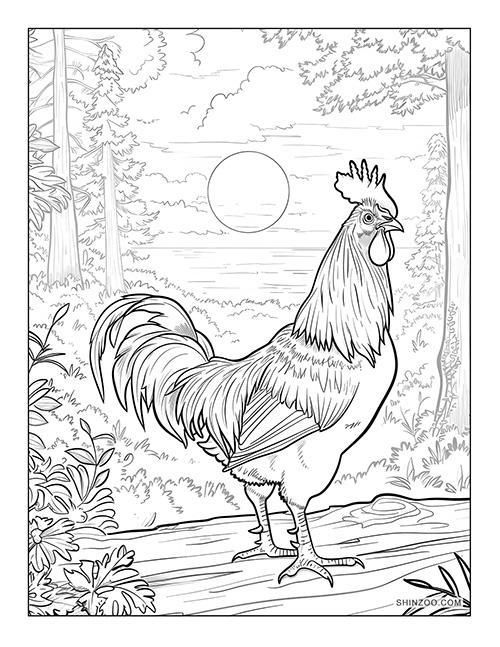 Rooster Coloring Page 01