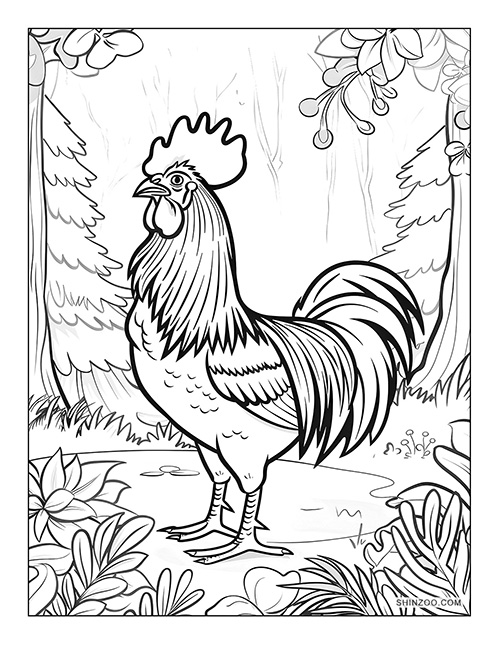 Rooster Coloring Page 04