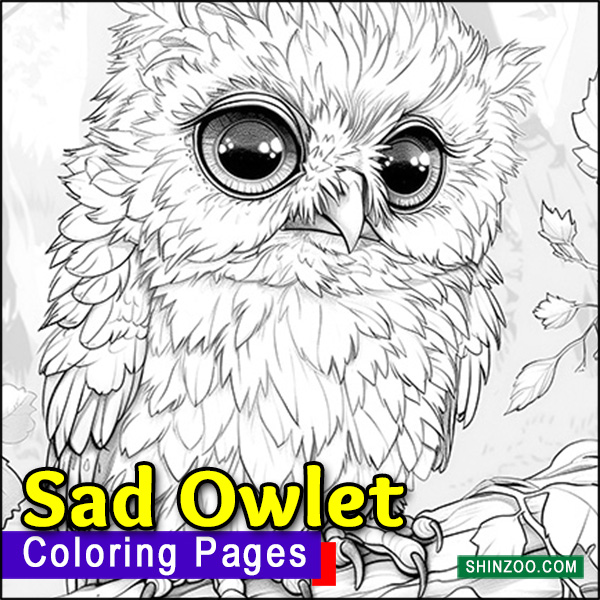 Sad Owlet Coloring Pages Printable