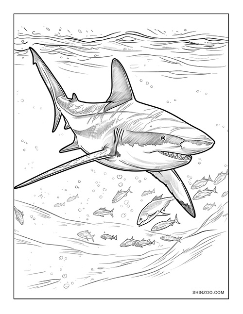 Shark Coloring Page 02